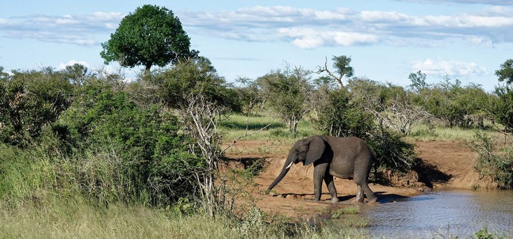 Lernidee Erlebnisreisen - African Explorer Vom Indischen Ozean bis zu den Viktoriafällen (2025/2026)