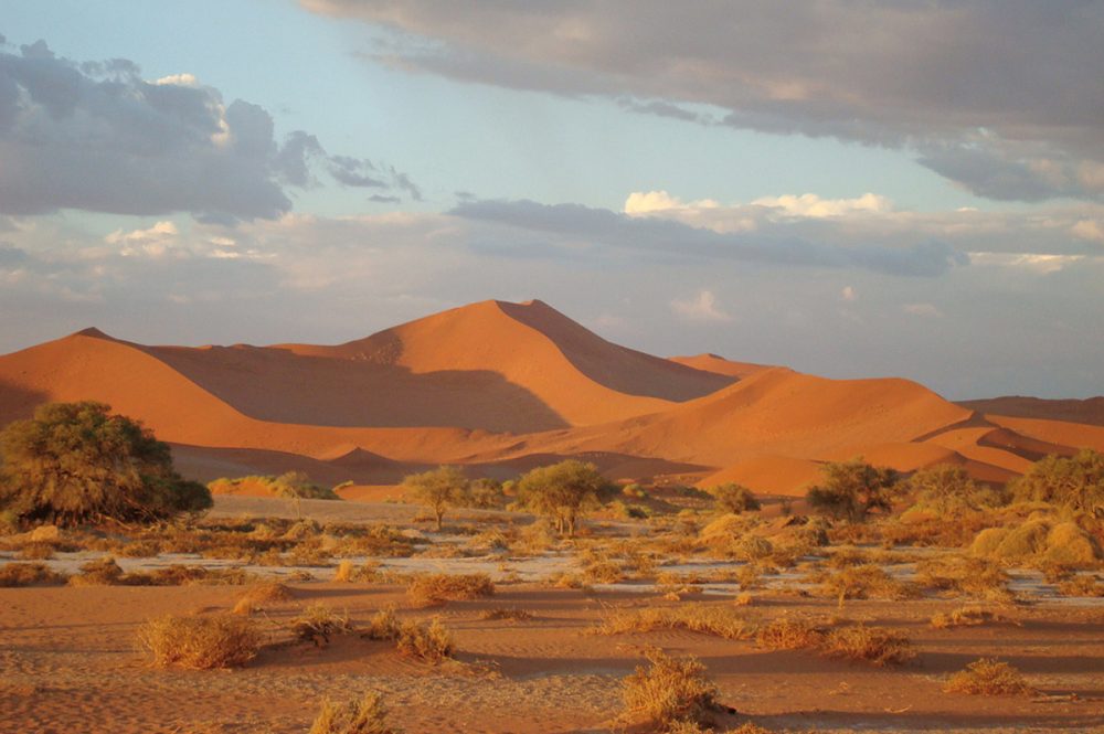 Gebeco - Namibia - Atlantik, Dünen und wilde Tiere