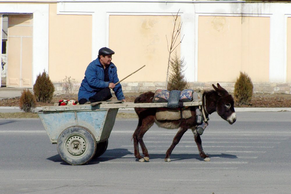 Gebeco - Usbekistan natürlich aktiv