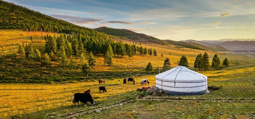 Lernidee Erlebnisreisen - Aktiv erleben: Naturwunder der Mongolei Zu Besuch bei Nomaden (2025)