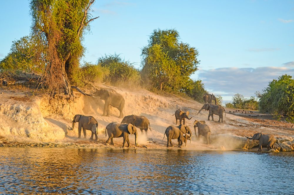 Gebeco - Botswana und Simbabwe - Donnernder Rauch und Okavango-Delta