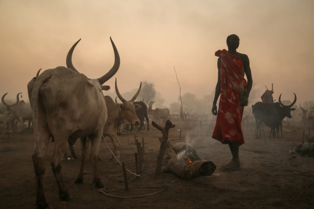 DIAMIR Erlebnisreisen - Südsudan - Völker zwischen Turkana-See und Weißem Nil