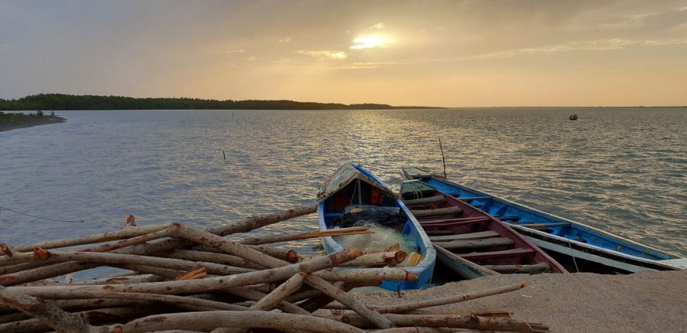 DIAMIR Erlebnisreisen - Gambia - Mandinka, Mangroven und Meer