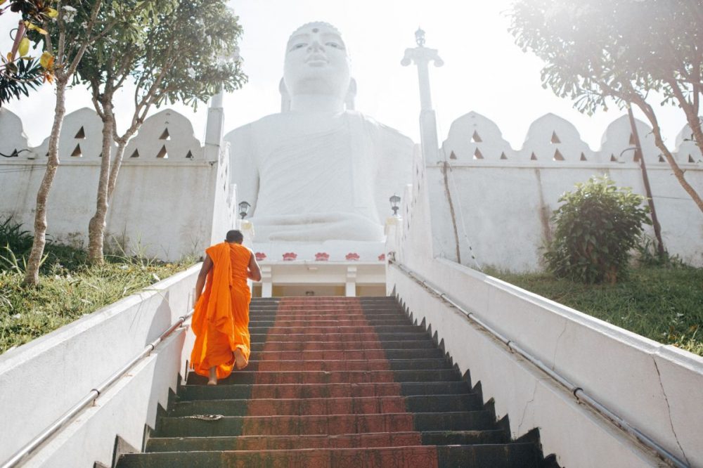 DIAMIR Erlebnisreisen - Sri Lanka • Malediven - Teeplantagen, Tempel und Traumstrände