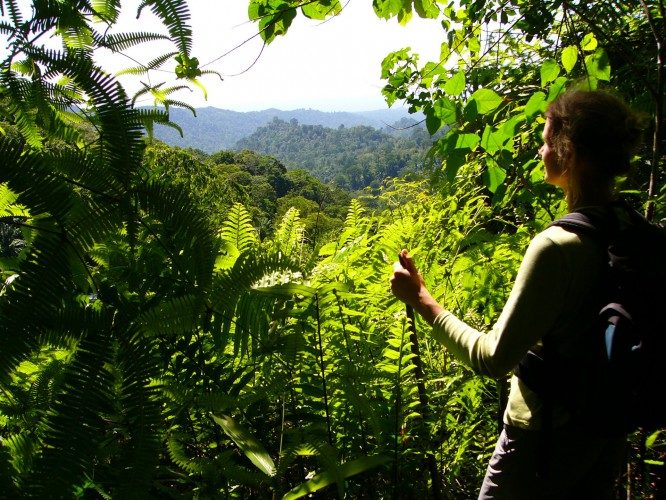 Reisen mit Sinnen - São Tomé aktiv: Inselumrundung