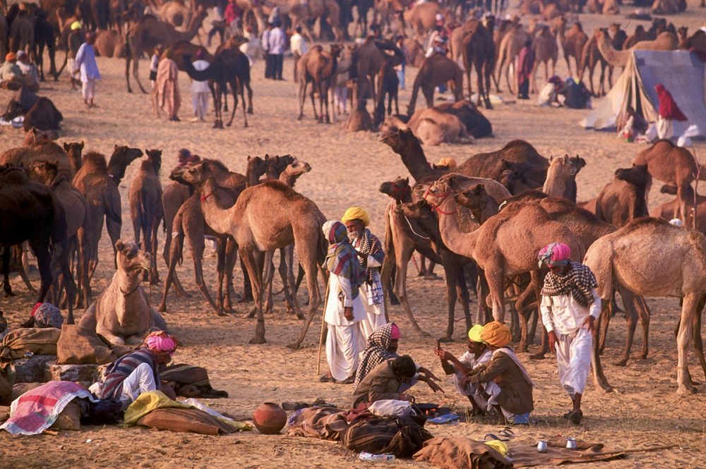 Gebeco - Große Rajasthan Rundreise