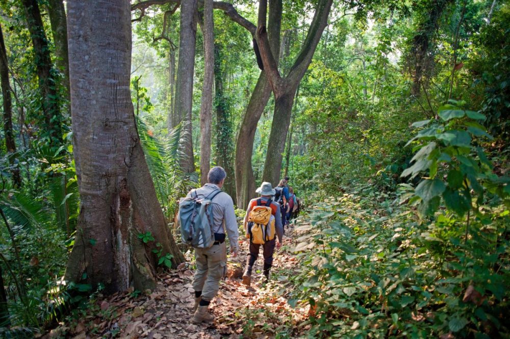 DIAMIR Erlebnisreisen - Uganda • Ruanda - Wandern und Safari