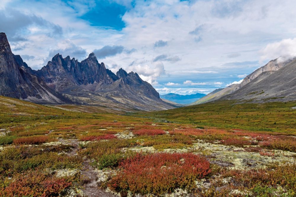 Meiers Weltreisen - Arktischer Ozean, Tundra & Dempster Highway (Südroute)