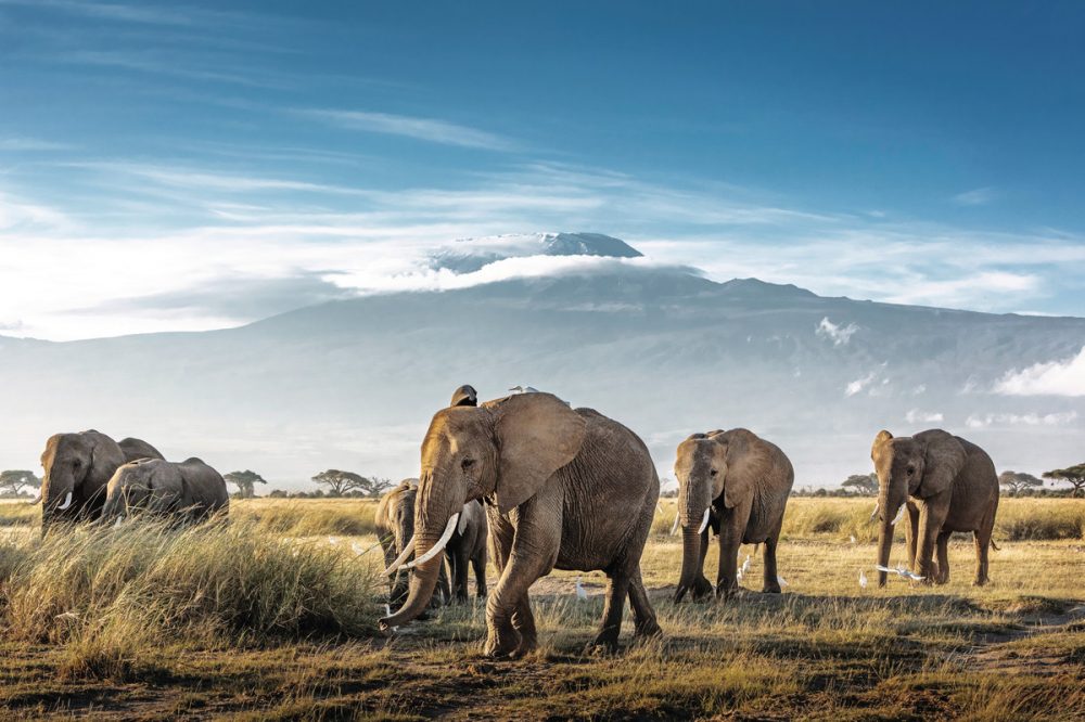 Meiers Weltreisen - Karibu Kenia