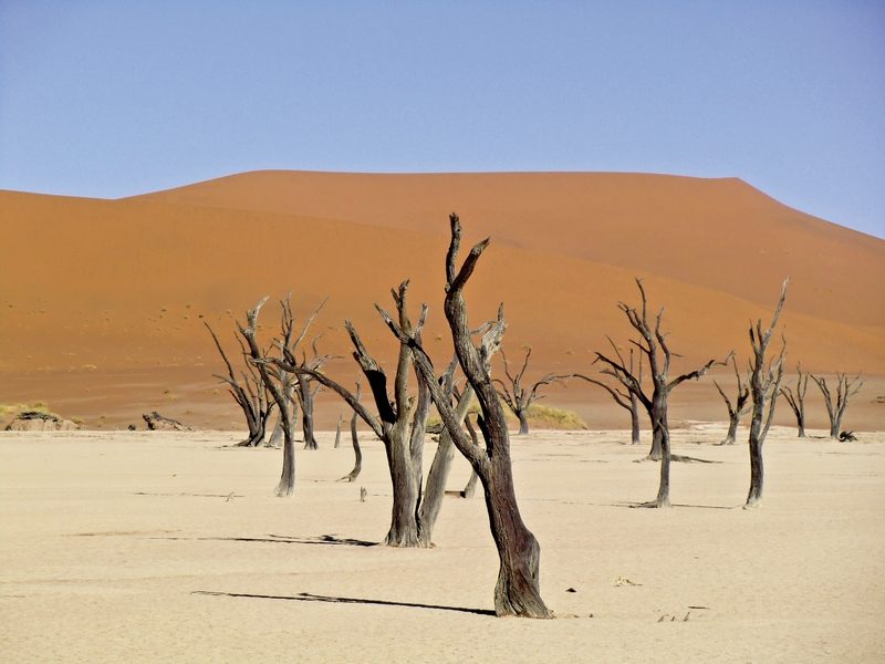 Meiers Weltreisen - Dünenzauber Sossusvlei