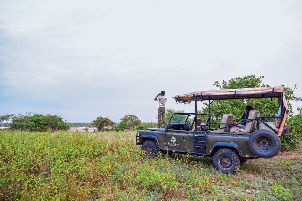 Meiers Weltreisen - Saadani Safari