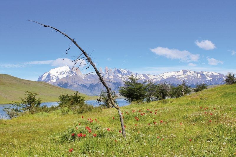 Meiers Weltreisen - Torres del Paine - wilde Schönheit (Privatreise)