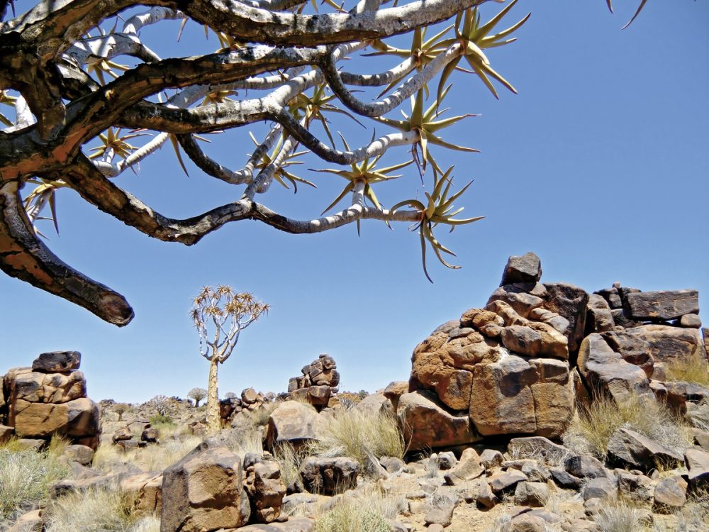 Meiers Weltreisen - Best of Namibia (Autoreise) (ehemals Facettenreiches Namibia für Selbstfahrer)