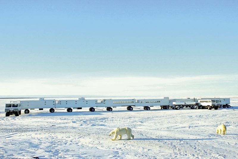 Dertour - Erlebnis Eisbären mit Tundra Buggy Lodge (5 Nächte)