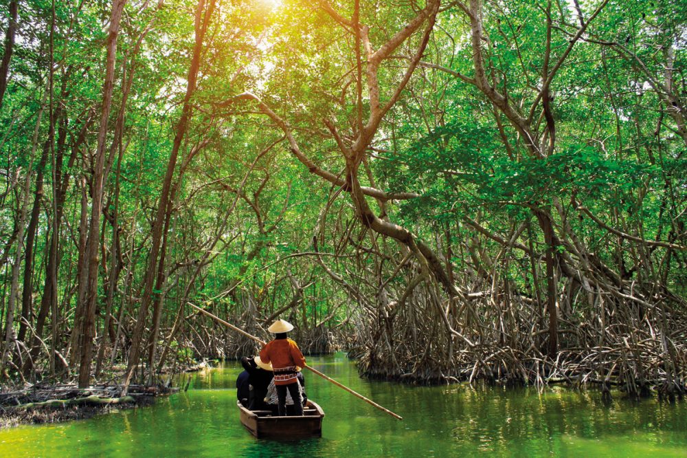 Dertour - Naturwunder Borneos (Kota Kinabalu-Kuching)