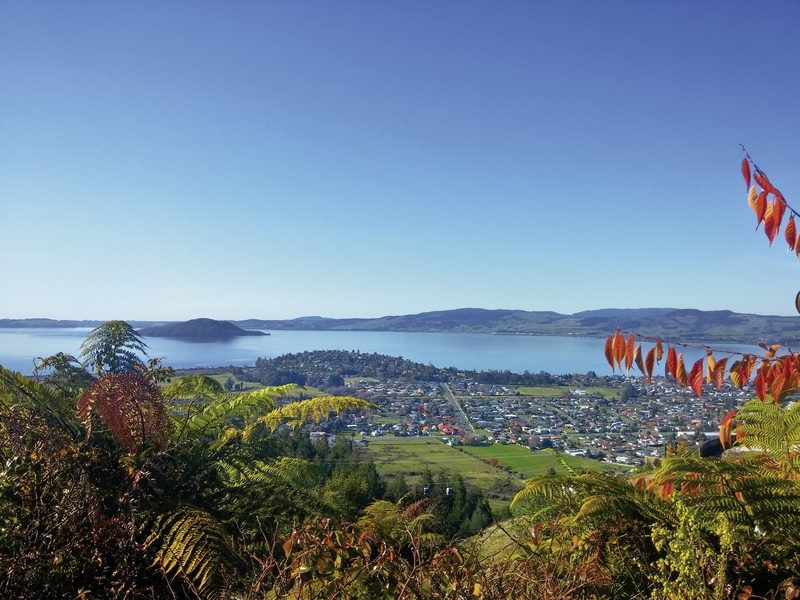 Dertour - Naturwunder Neuseelands (Christchurch-Auckland, 18 Nächte)