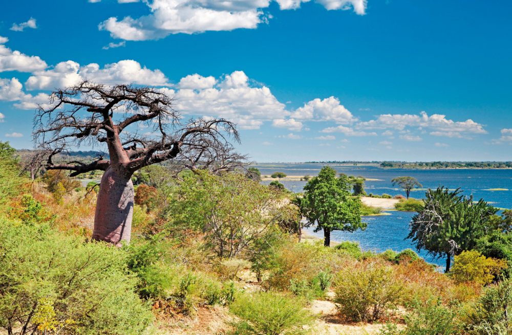 Dertour - Safariromantik - Botswana und Victoria Falls