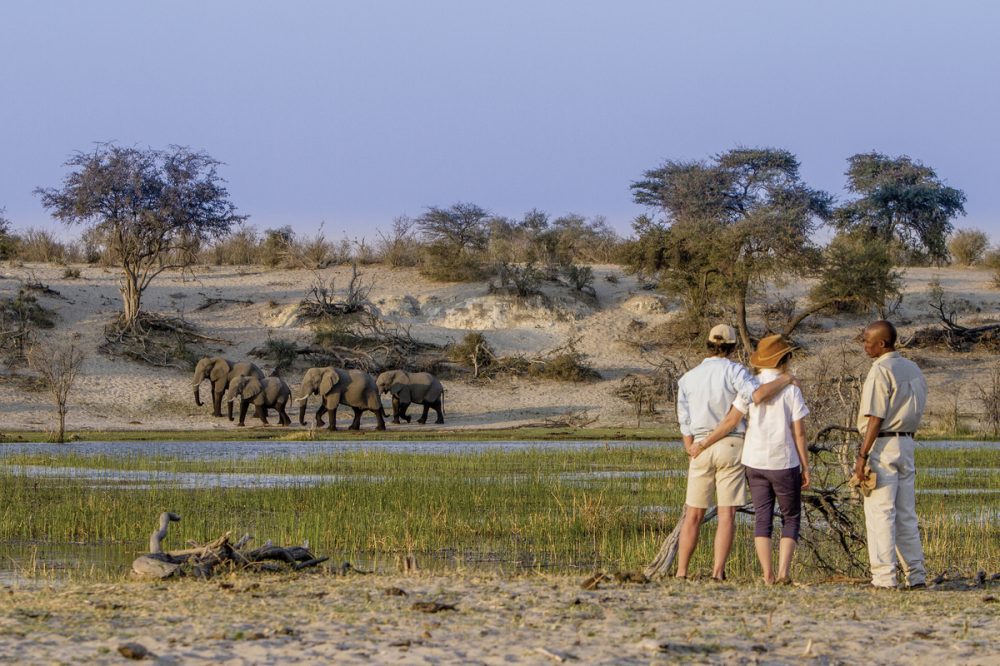 Dertour - Der Herzschlag Afrikas (6 Nächte ab Maun)