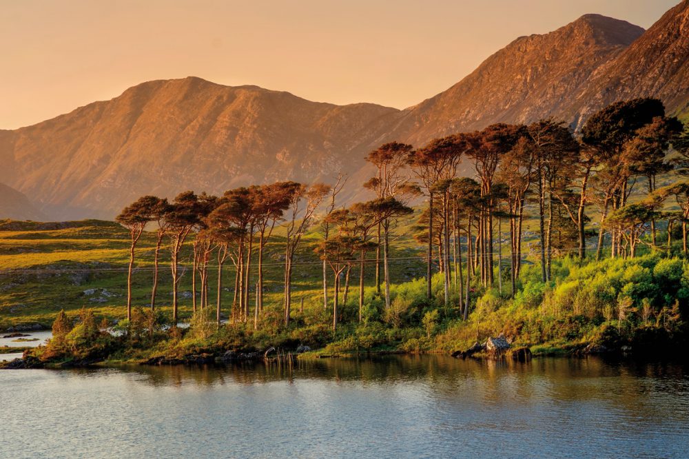 Dertour - Höhepunkte rund um Galway