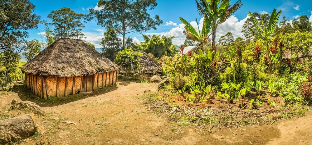 Lernidee Erlebnisreisen - Vorreise Papua-Neuguinea Vorreise: Im Hochland von Papua-Neuguinea (2025)