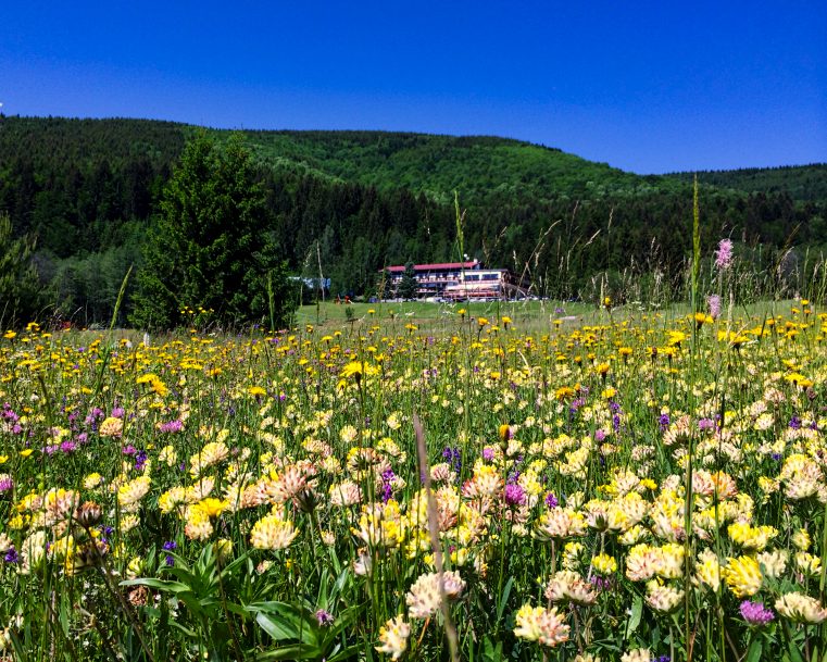 Reisen mit Sinnen - Wanderwoche in der Niederen Tatra