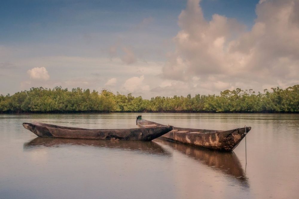 DIAMIR Erlebnisreisen - Gambia - Mandinka, Mangroven und Meer