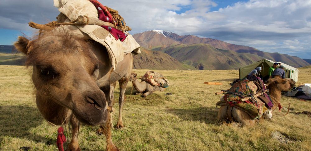 Wikinger Reisen - Auf Nomadenpfaden durch das Land des Dschingis Khan