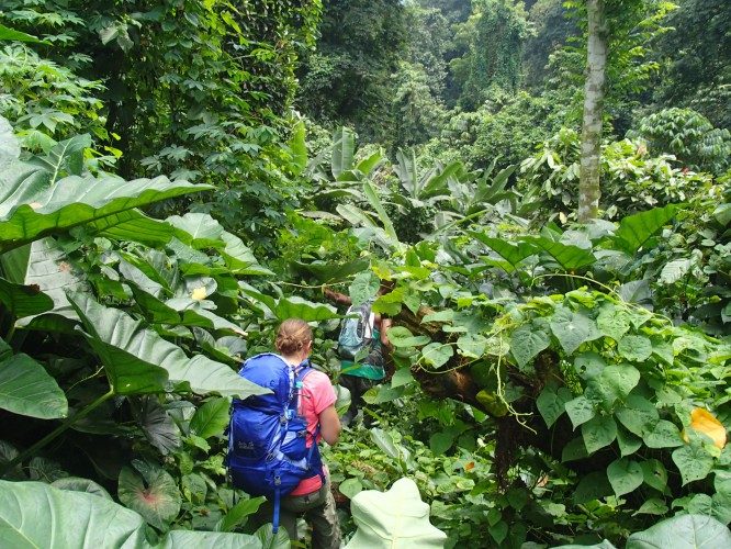 Reisen mit Sinnen - São Tomé aktiv: Inselumrundung