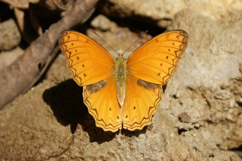 Reisen mit Sinnen - Die unbändige Kraft der Natur