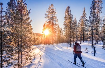 Troll Tours - Verschneites Schweden