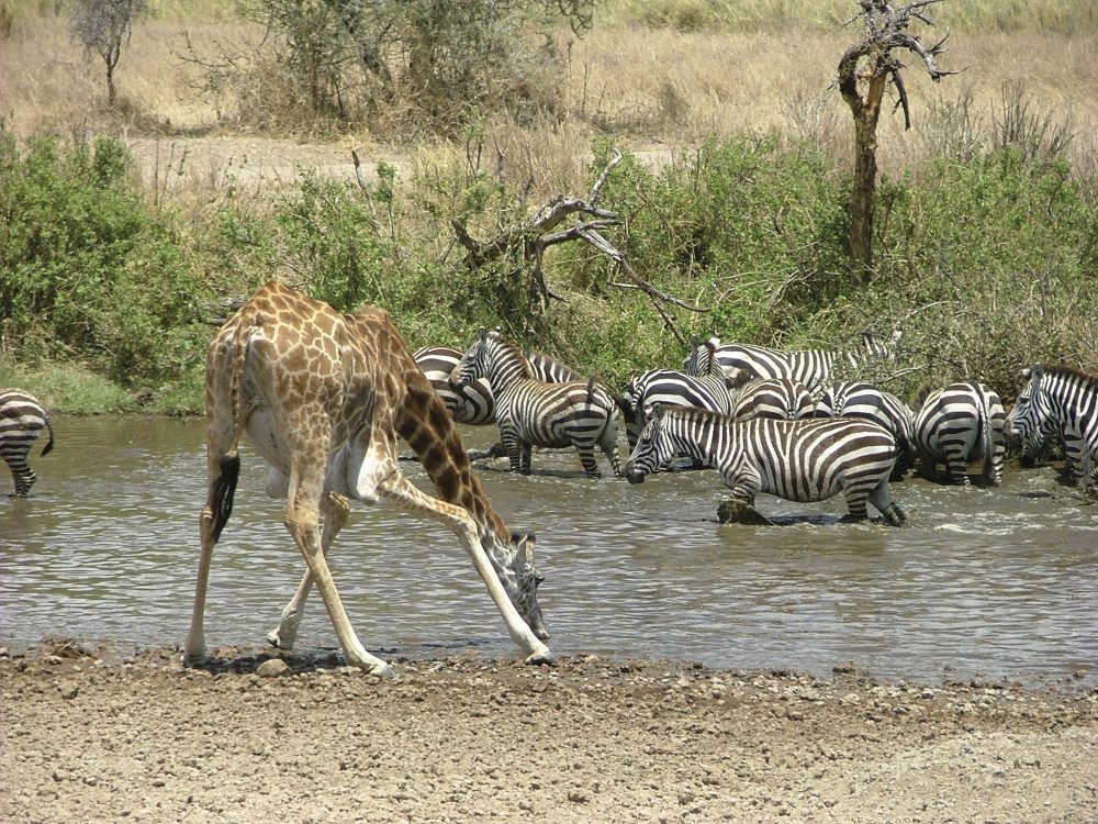 Ikarus Tours - Dreiländereck: Namibia, Botswana und Zimbabwe