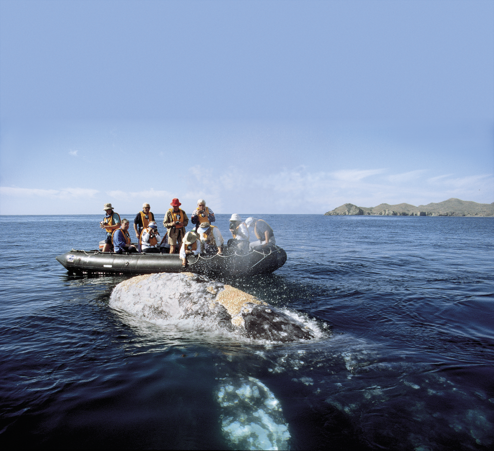 Ikarus Tours - Nord-Mexiko: Baja California