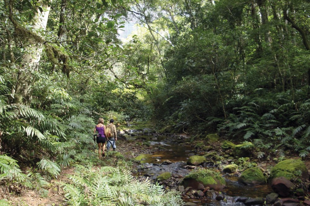 Ikarus Tours - Naturparadiese im bolivianischen Tiefland