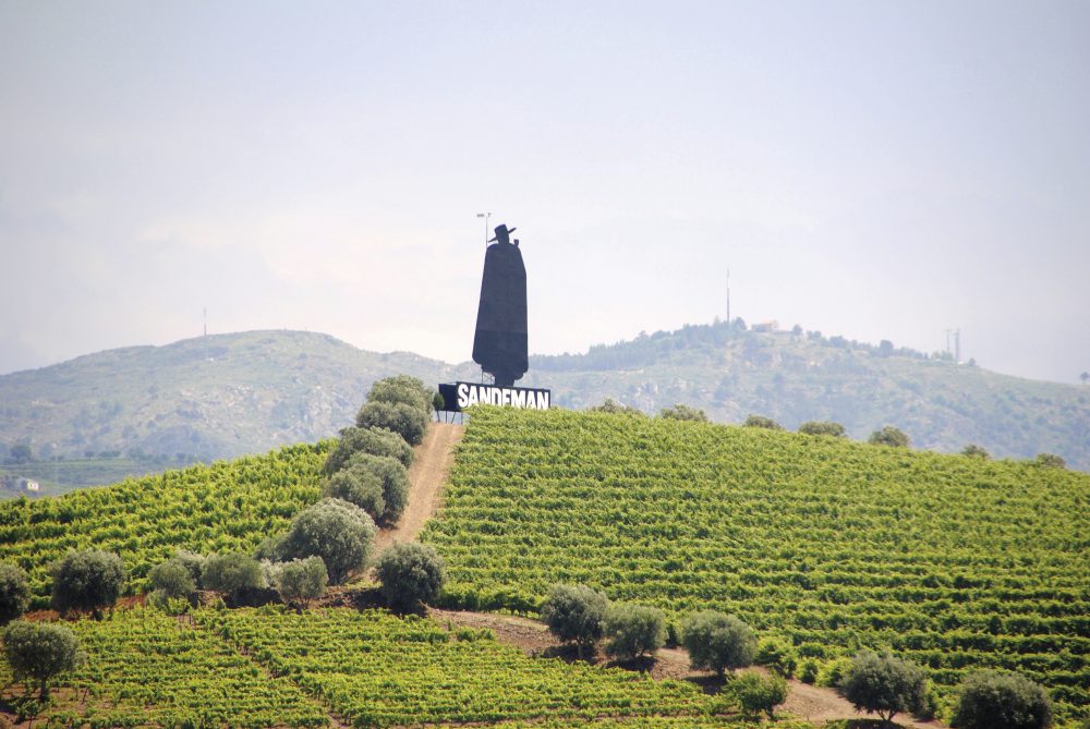 Ikarus Tours - DOURO QUEEN: Vom Atlantik bis ins Dourotal