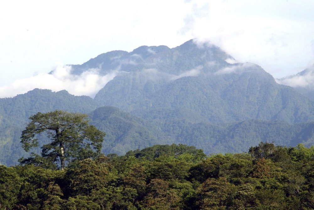 Ikarus Tours - El Salvador -  Honduras