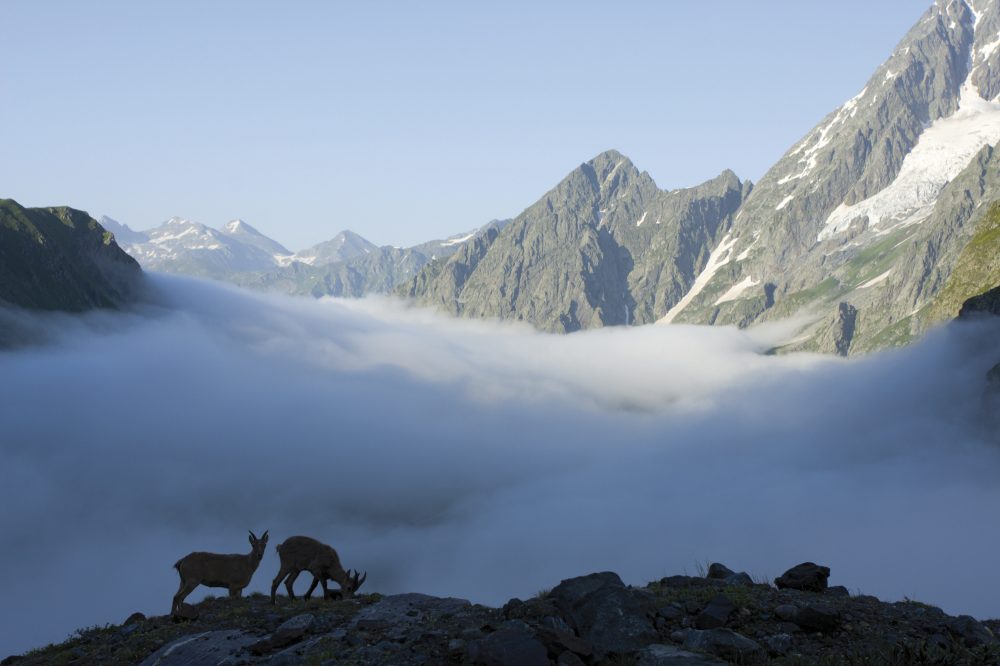 Ikarus Tours - Große Kaukasus-Rundreise