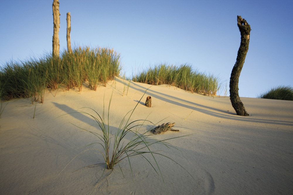 Ikarus Tours - Radwandern an Polens Ostseeküste