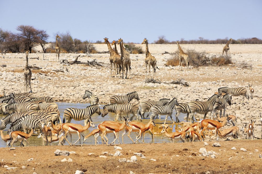 Ikarus Tours - Namibia - Botswana als Selbstfahrer entdecken