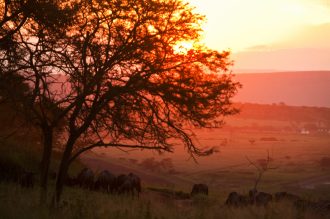 Gebeco - Magisches Südafrika