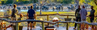 Chamleon - Namibia Okavango 15 Tage Erlebnis-Reise
