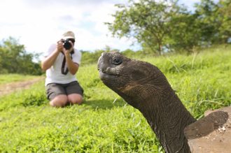 DIAMIR Erlebnisreisen - Ecuador | Galapagos - Höhepunkte Ecuadors und Inselhüpfen auf Galapagos