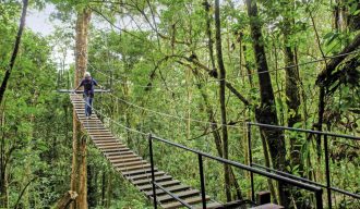 Meiers Weltreisen - Costa Rica - Auf der Suche nach den Faultieren