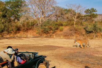 Dertour - Goldenes Dreieck – Kultur & Wildlife