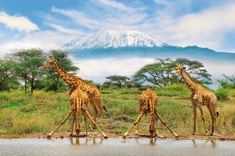 Dertour - Die große Kenia Safari