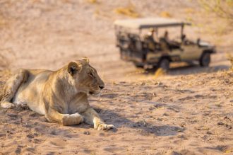 DIAMIR Erlebnisreisen - Botswana • Simbabwe - Die Mutter aller Safaris: Botswana im Stil von Hemingway