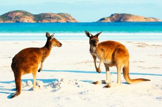 SKR Reisen - Australien: Die ausführliche Reise