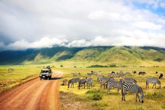 Hauser exkursionen - Tansania - Safari kompakt (Reiseverlängerung)
